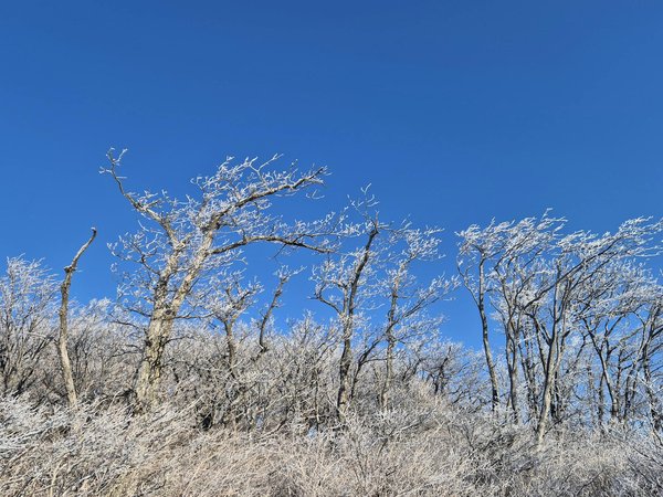 Getyourerectionsback